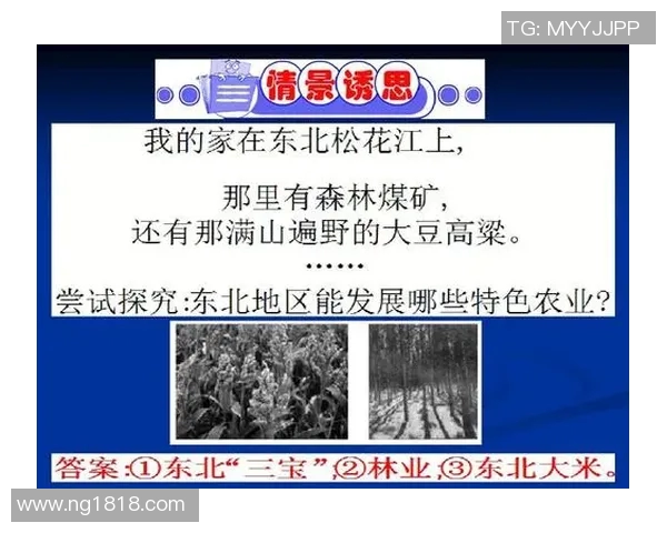 大米种植技术的创新与发展趋势：提升产量与可持续性研究